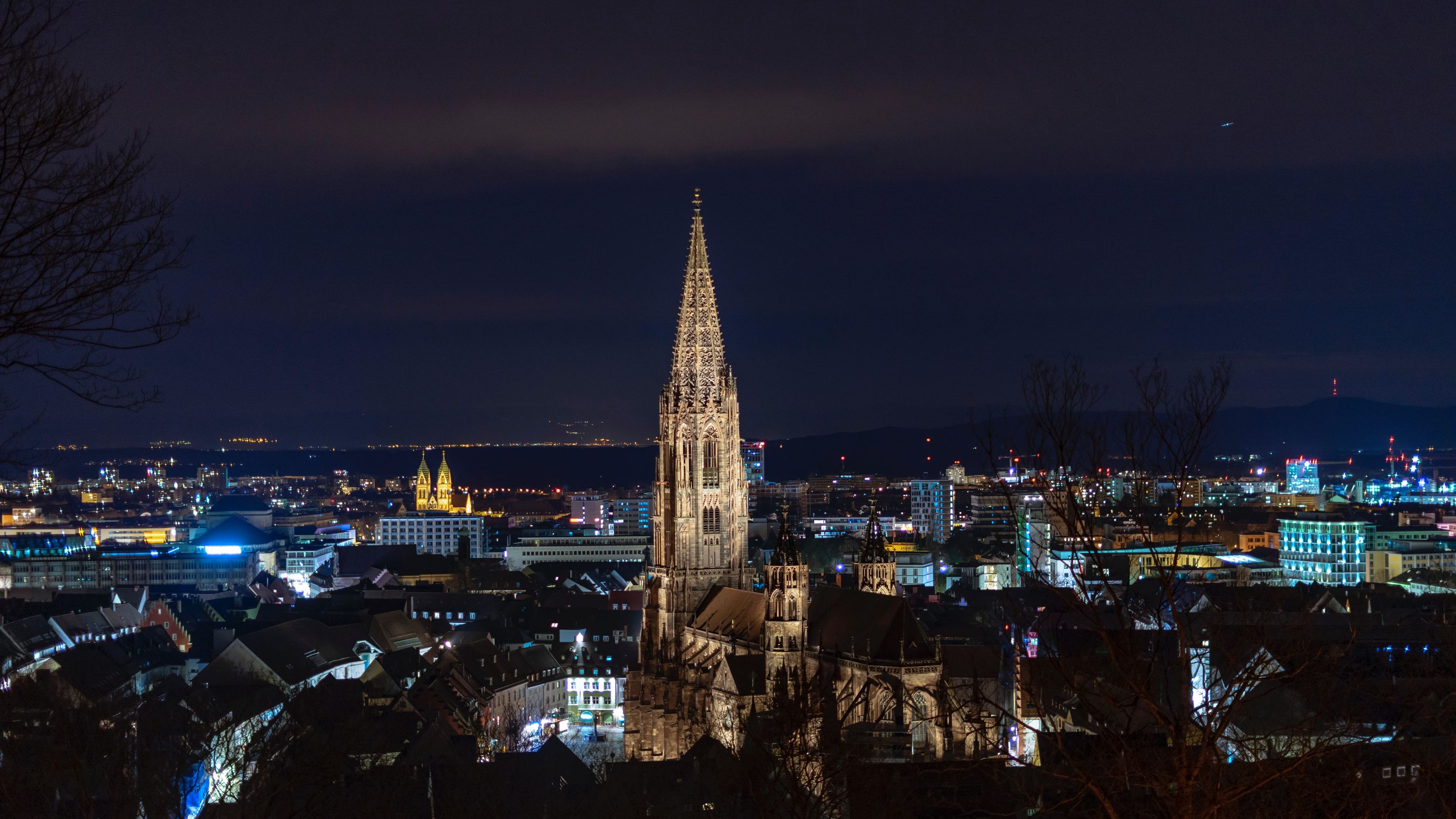 Freiburger Münster in der Nacht