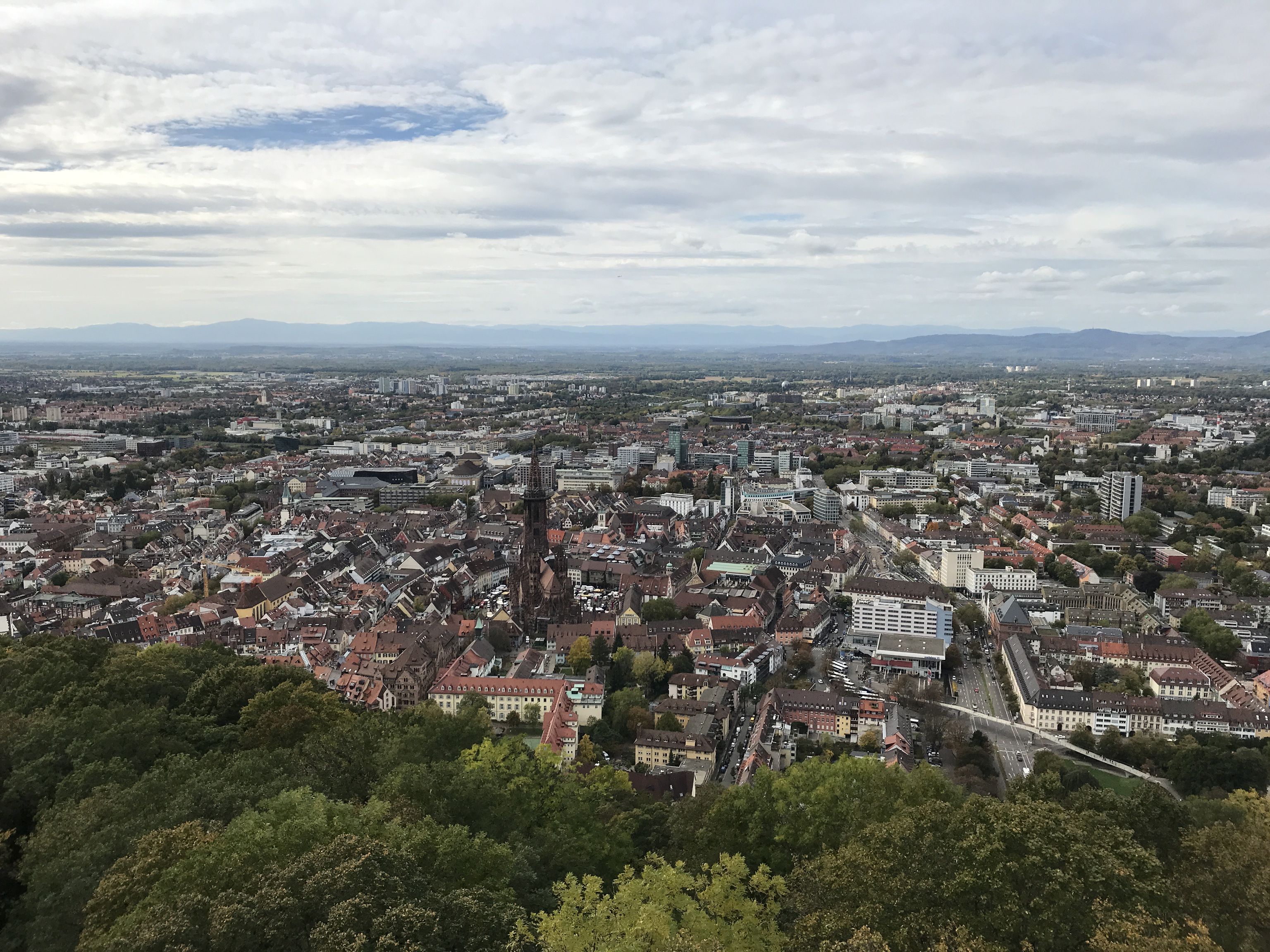 Blick über die Stadt Freiburg vom Schlossberg